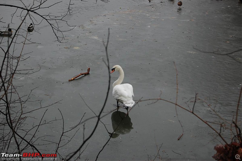 YetiBlog - Snow, Germany and a Rather Blocked Nose-dsc_4626_l.jpg