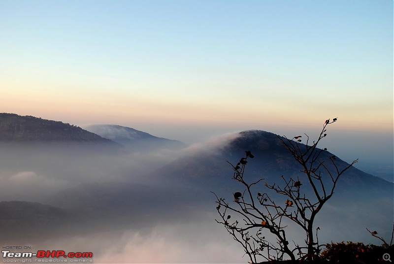 Trek to the clouds : SKANDAGIRI-dsc_0097.jpg