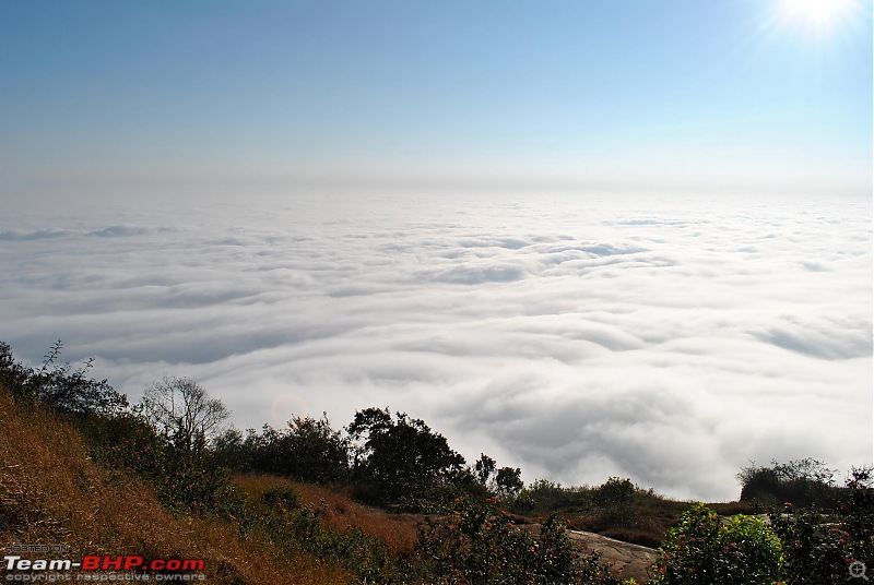 Trek to the clouds : SKANDAGIRI-dsc_0134.jpg