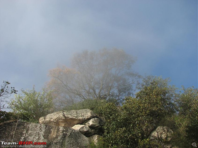 Trek to the clouds : SKANDAGIRI-picture-345.jpg