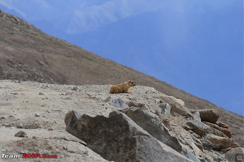 leh photo tripolog 2008-img_1694.jpg