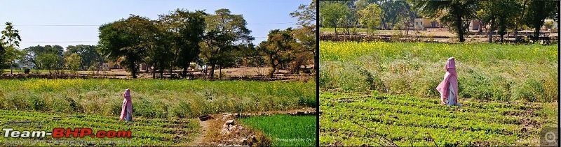 An Incredible Road Trip of a Lifetime to Udaipur, The Most Romantic City in the World-highway-mount-abu-5.jpg