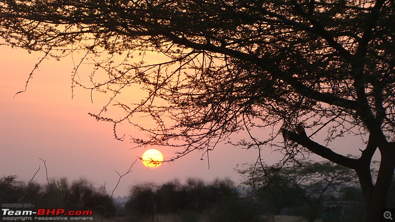 Royal Rajasthan - A 4200km road trip through Rajasthan-dsc05323.jpg