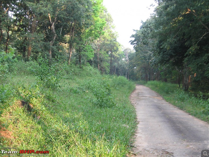 1550 Kms:Bangalore-Parambikulam-Valparai-Cochin-Ooty-Bangalore in a DZire ZDi-img_1845.jpg