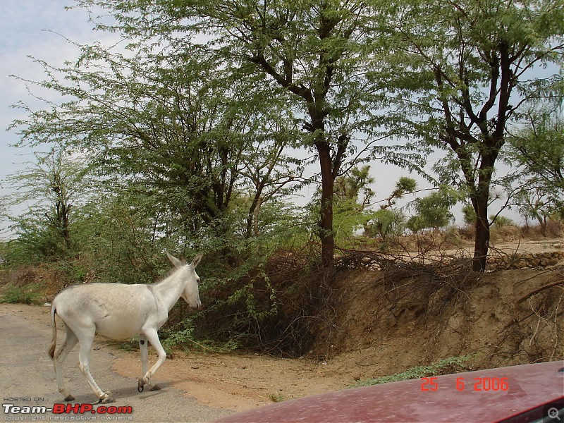 100,000 kms on Indian Highways, 6 treks & a Couple of Flights-dsc00561.jpg