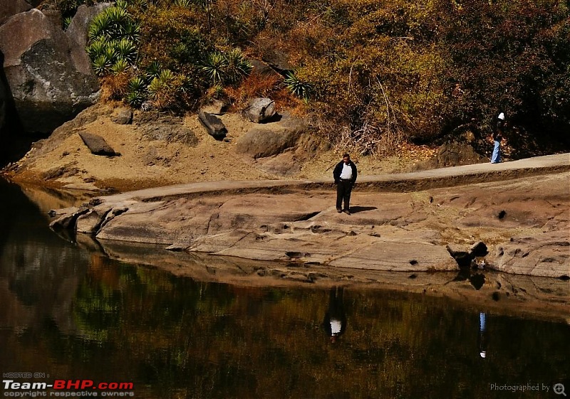 An Incredible Road Trip of a Lifetime to Udaipur, The Most Romantic City in the World-7-trevors_tank-shoud_i_jump_in_to_test_the_depth.jpg