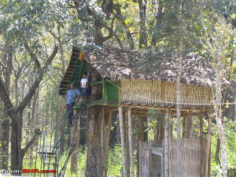 Muthanga, Wayanad: Mykkara homestay - Succumbing to the call of wild again !!!-wayanad-100216-091.jpg