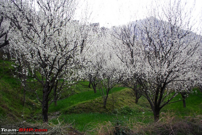 The Valley of Spring-800922717_ysprml.jpg