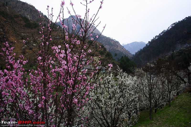 The Valley of Spring-800928397_4rs7ll.jpg