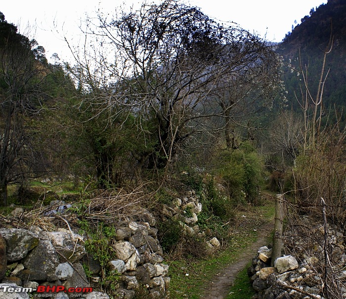 Truly Tranquil! Tirthan valley.-_dsc7375.jpg