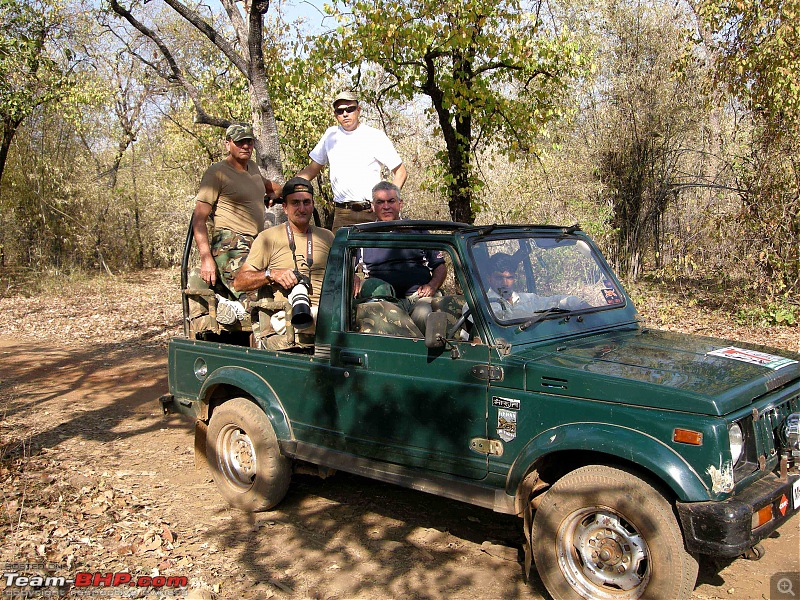 Tadoba, Pench forests, wildlife and 4 tigers!-dscn4176.jpg