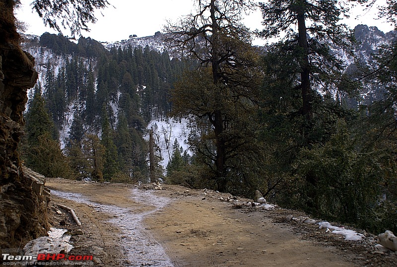 Truly Tranquil! Tirthan valley.-dsc07494.jpg