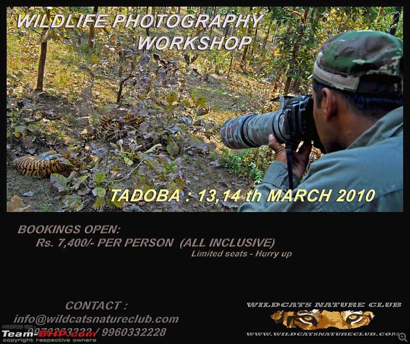Tadoba, Pench forests, wildlife and 4 tigers!-tadoba-workshop-poster-copy2.jpg