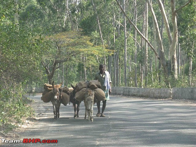 Weekend in Yelagiri (Pics)-yelagiri-268.jpg