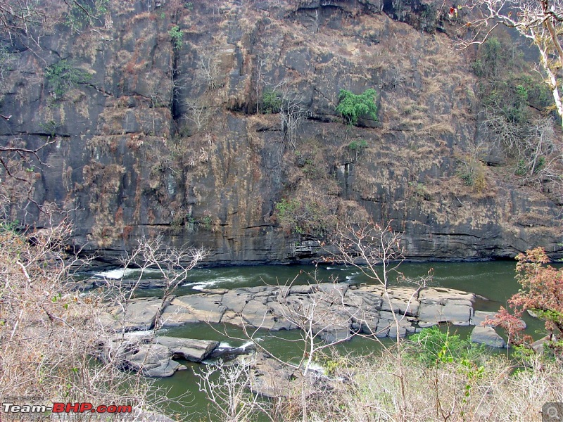 Yet another valparai trip to bore you!!-img_8845.jpg