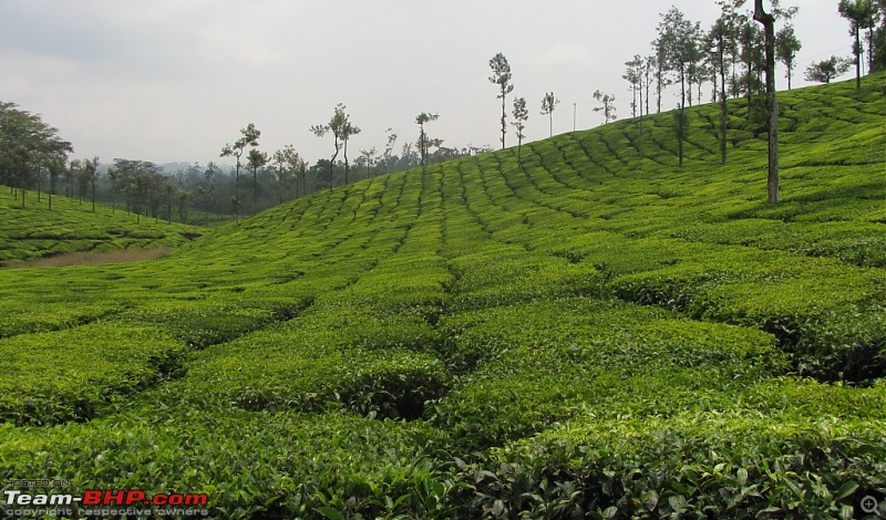 Yet another valparai trip to bore you!!-img_8935.jpg