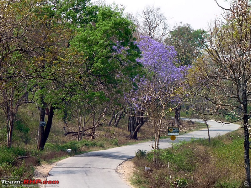 'Xing'ing around ! - Masinagudi, Ooty and Coonoor.-12.jpg