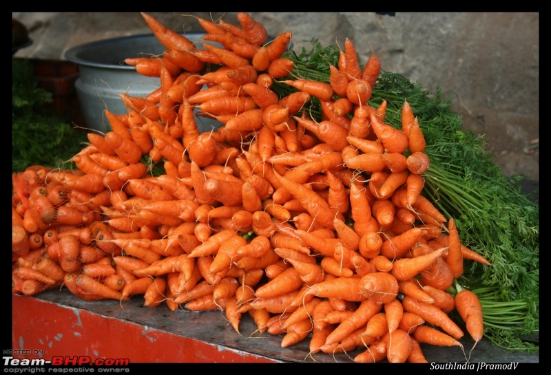 Bangalore - Kodai - Madurai - Kanyakumari (NH7 Lifeline)-carrot1_800x545.jpg