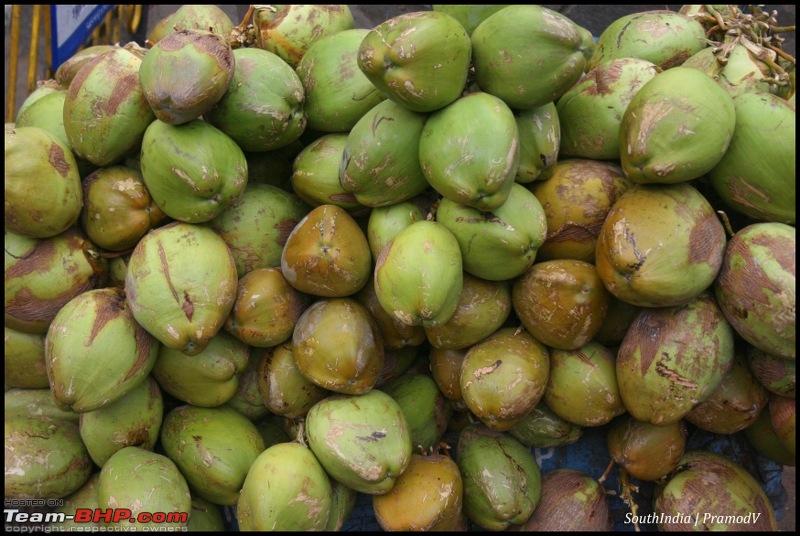 Bangalore - Kodai - Madurai - Kanyakumari (NH7 Lifeline)-coconut1_800x536.jpg