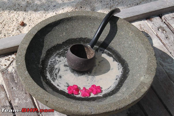 Family Vacation In Maldives - An Essay-flower_urn.jpg