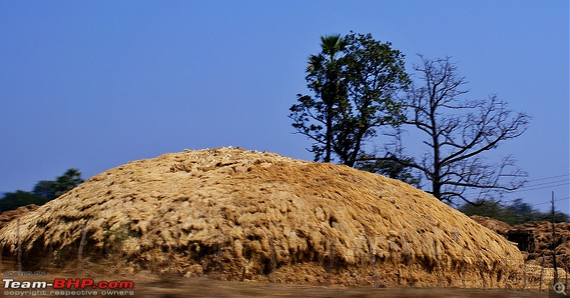 An Incredible Road Trip of a Lifetime to Udaipur, The Most Romantic City in the World-19-dried_hay.jpg