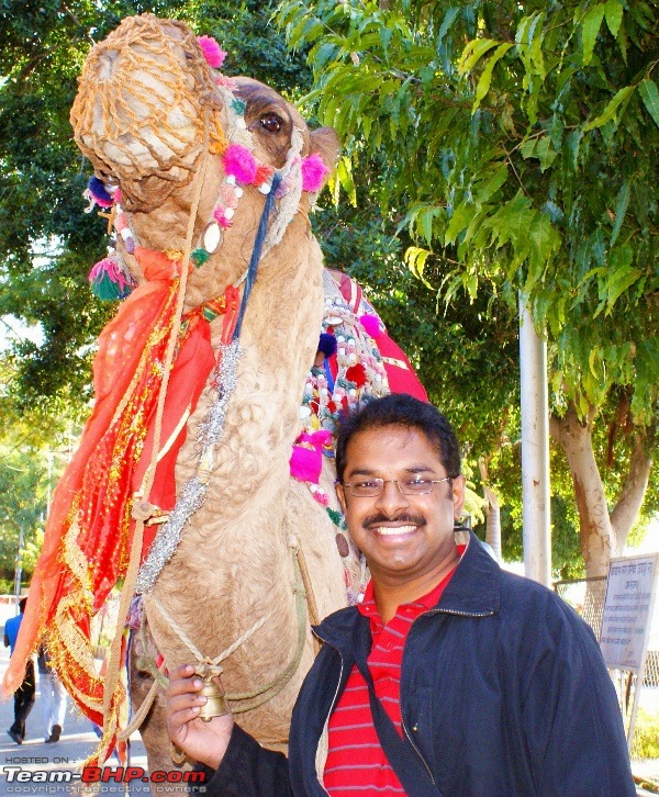 An Incredible Road Trip of a Lifetime to Udaipur, The Most Romantic City in the World-pichola-lake-camel-ride-12.jpg