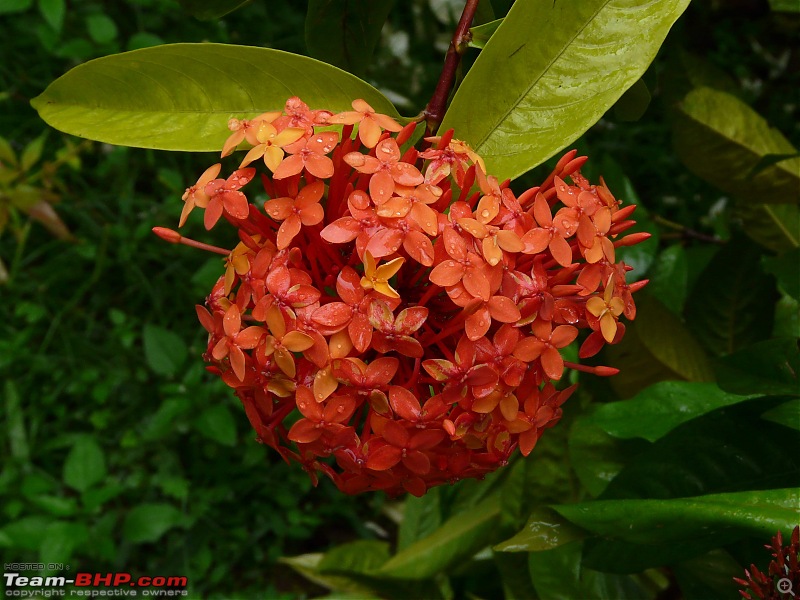 Boyz Day Out - Thekkady!-thekkady-sep2009-351.jpg