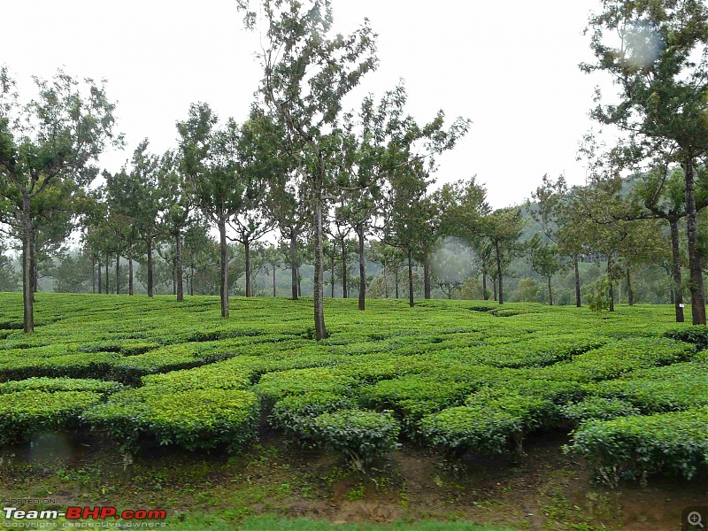 Boyz Day Out - Thekkady!-thekkady-sep2009-415.jpg