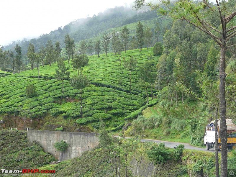 Boyz Day Out - Thekkady!-thekkady-sep2009-466.jpg