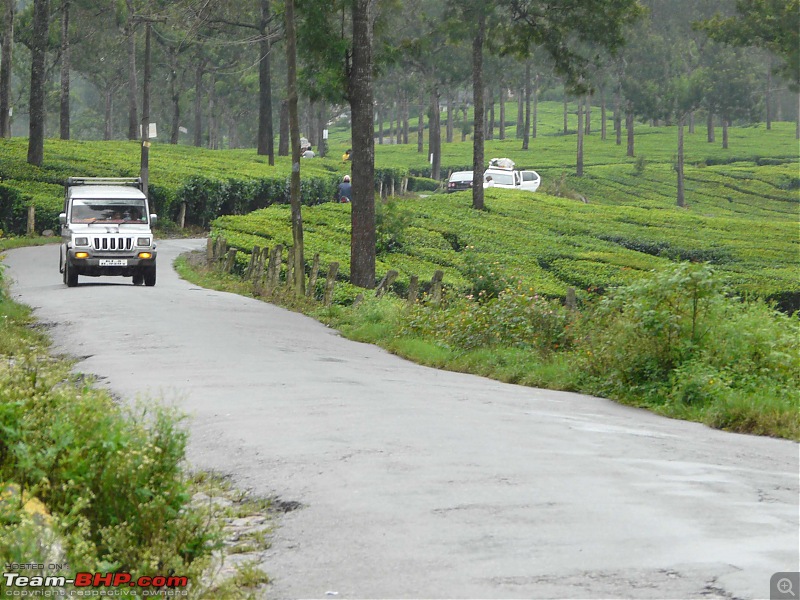 Boyz Day Out - Thekkady!-thekkady-sep2009-414.jpg