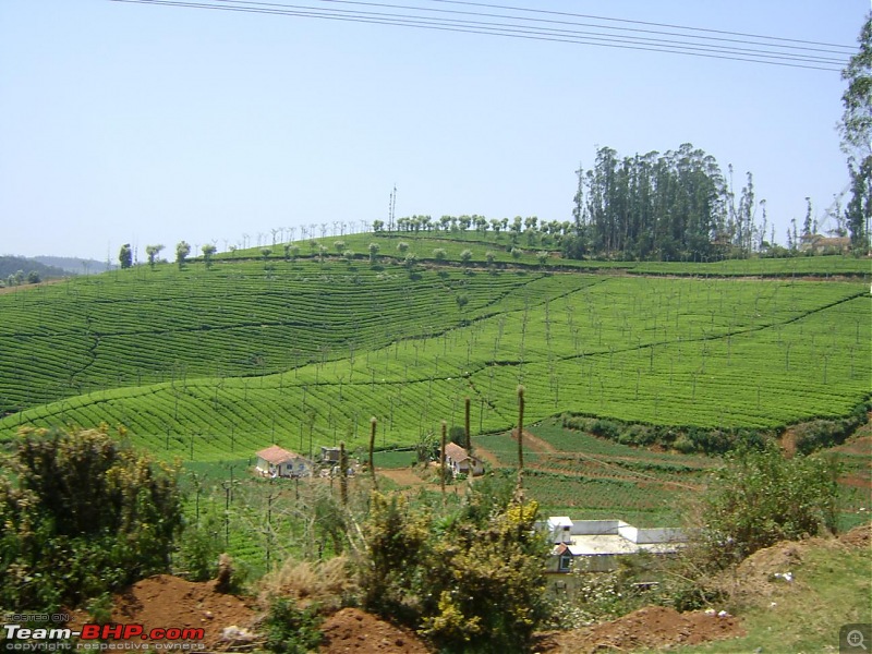 nanoLog - Bangalore-Masinagudi-Ooty & Back with a different agenda...-dsc01011_1296x972.jpg