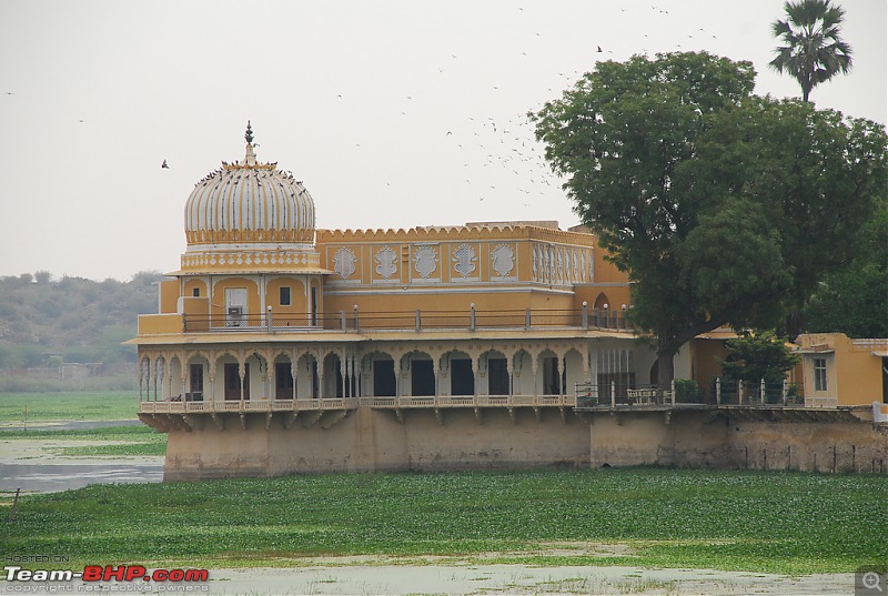 Royal Rajasthan - A 4200km road trip through Rajasthan-phoolmahal-palace.jpg