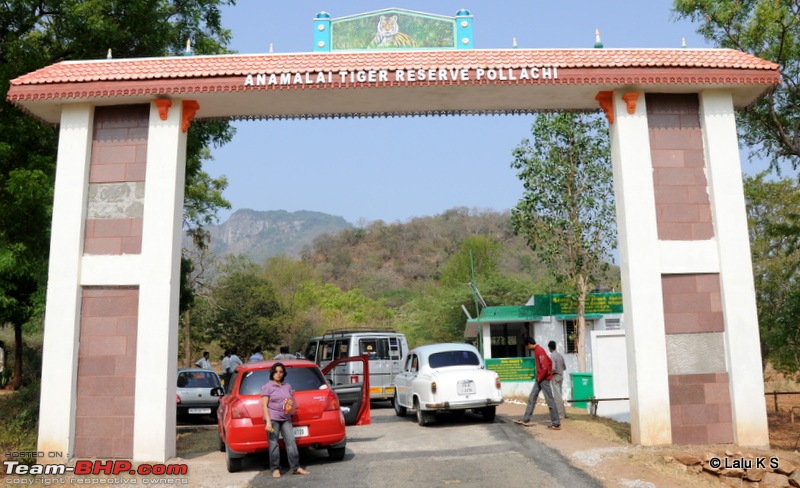 Swifted : Nelliyampathy via Valparai-20100402_0011.jpg