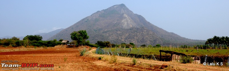 Swifted : Nelliyampathy via Valparai-20100402_0012.jpg