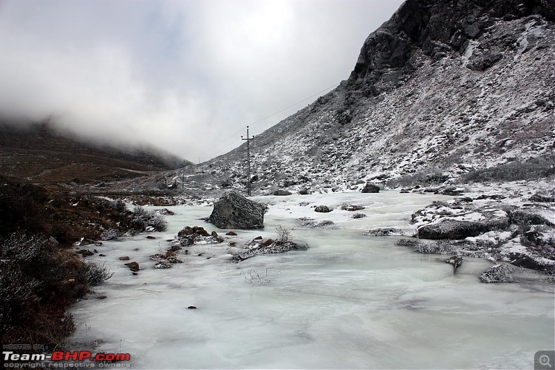 Safari VTT-TMT Exotic Tour - Known and Unknown Western Arunachal and Nameri[Assam]-img_6168.jpg