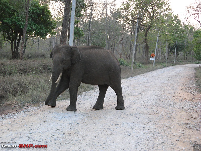 Yet another Kabini JLR travelogue-img_0852.jpg