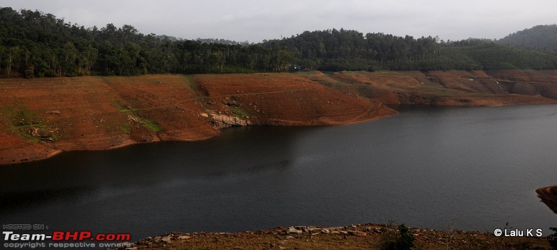 Swifted : Nelliyampathy via Valparai-20100402_0234.jpg