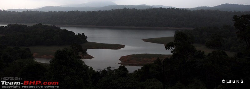 Swifted : Nelliyampathy via Valparai-20100402_0254.jpg