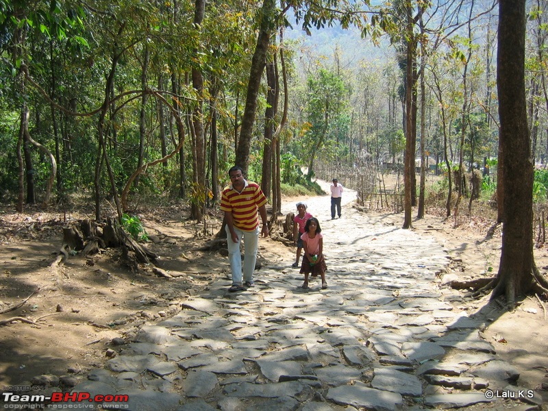 Swifted : Nelliyampathy via Valparai-img_0105.jpg