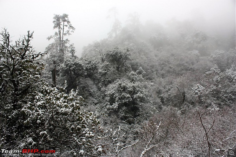 Safari VTT-TMT Exotic Tour - Known and Unknown Western Arunachal and Nameri[Assam]-img_6417.jpg