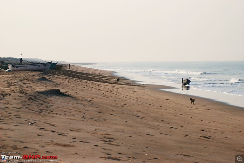 Coastal Gujarat and the Great Rann of Kutch-dsc_0583.jpg