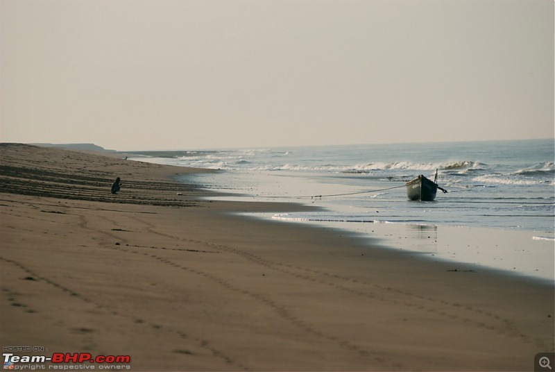 Coastal Gujarat and the Great Rann of Kutch-dsc_0586.jpg