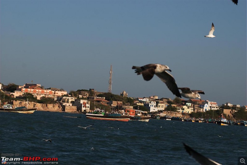 Coastal Gujarat and the Great Rann of Kutch-dsc_0980.jpg