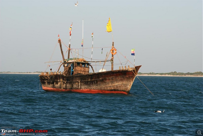 Coastal Gujarat and the Great Rann of Kutch-dsc_1042.jpg