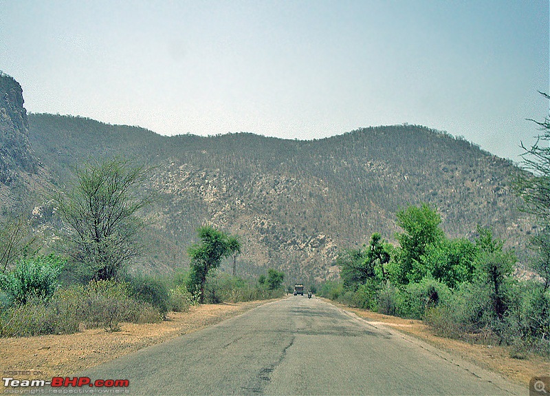 Delhi - Sariska (Pandupole) Tour-14.jpg