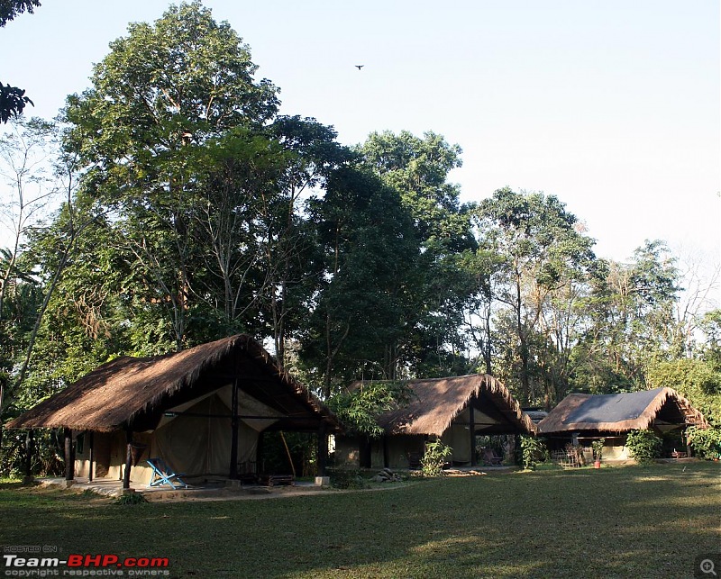 Safari VTT-TMT Exotic Tour - Known and Unknown Western Arunachal and Nameri[Assam]-img_6541.jpg