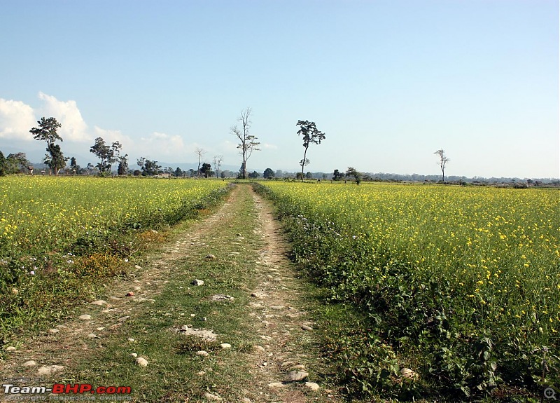 Safari VTT-TMT Exotic Tour - Known and Unknown Western Arunachal and Nameri[Assam]-img_6542.jpg