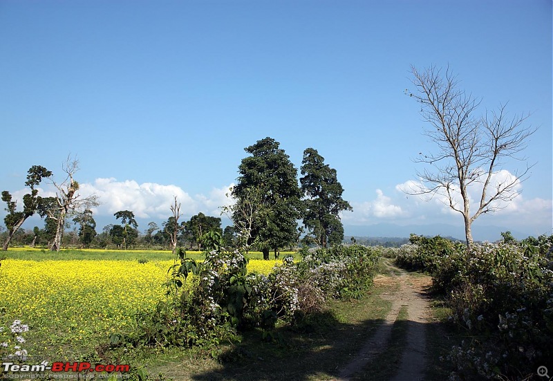 Safari VTT-TMT Exotic Tour - Known and Unknown Western Arunachal and Nameri[Assam]-img_6546.jpg