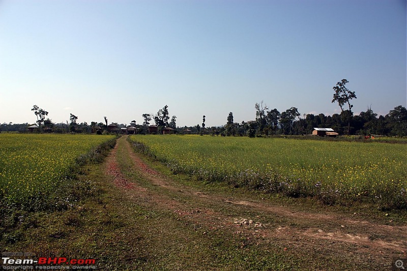 Safari VTT-TMT Exotic Tour - Known and Unknown Western Arunachal and Nameri[Assam]-img_6559.jpg