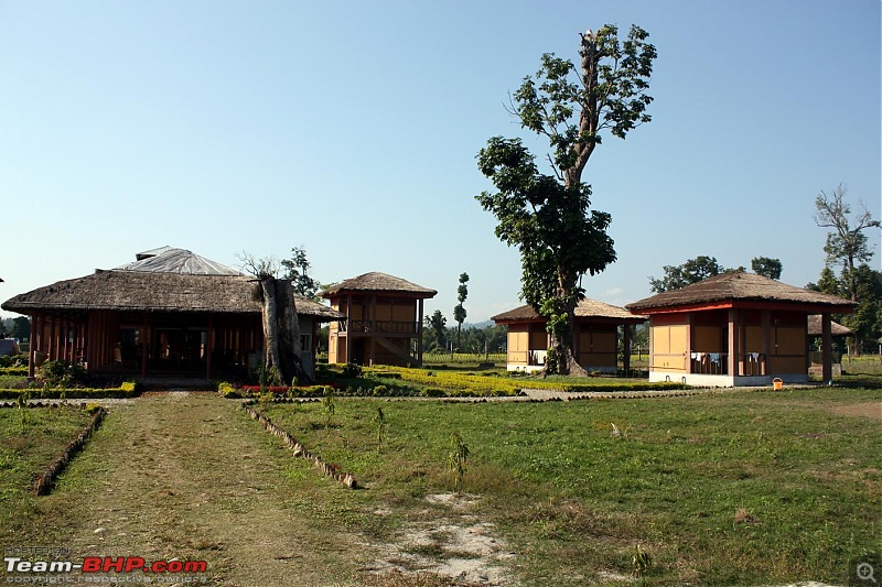 Safari VTT-TMT Exotic Tour - Known and Unknown Western Arunachal and Nameri[Assam]-img_6569.jpg